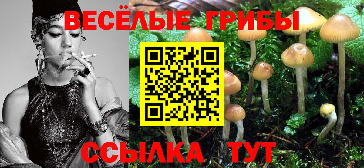 Псилоцибиновые грибы Cubensis Солнечногорск