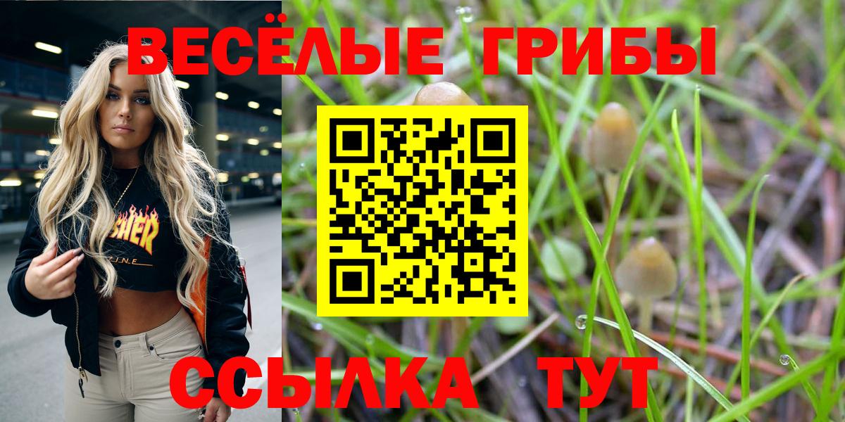 Псилоцибиновые грибы GOLDEN TEACHER  Вход с VPN  Солнечногорск  Псилоцибиновые грибы Psilocybine cubensis 